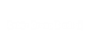 Cyber_Group_Studios entrpreneur invest