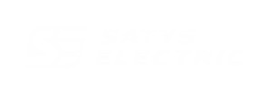 satys_electric_capital_croissance
